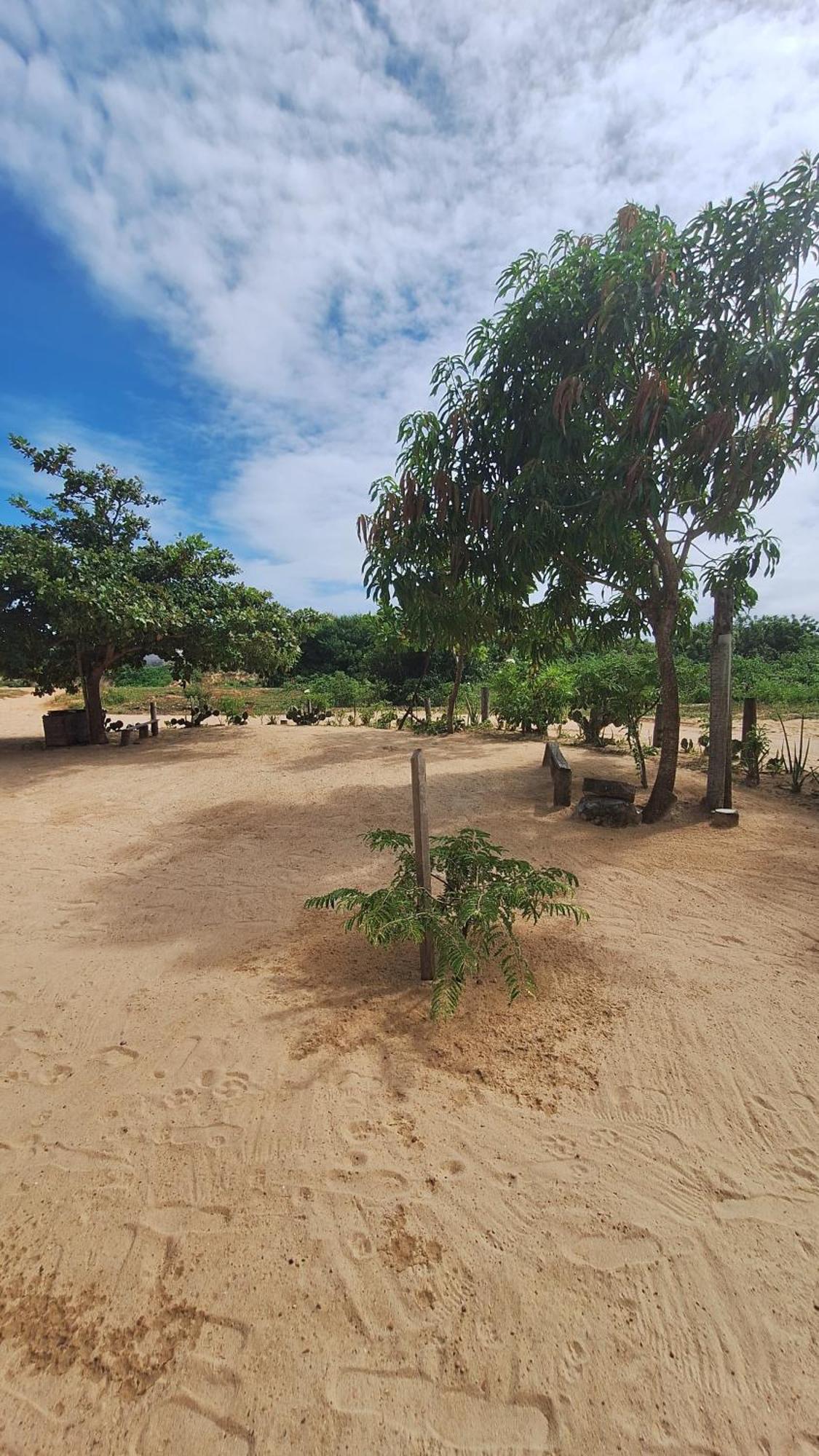 Pousada Maria Sara Jijoca de Jericoacoara Bagian luar foto